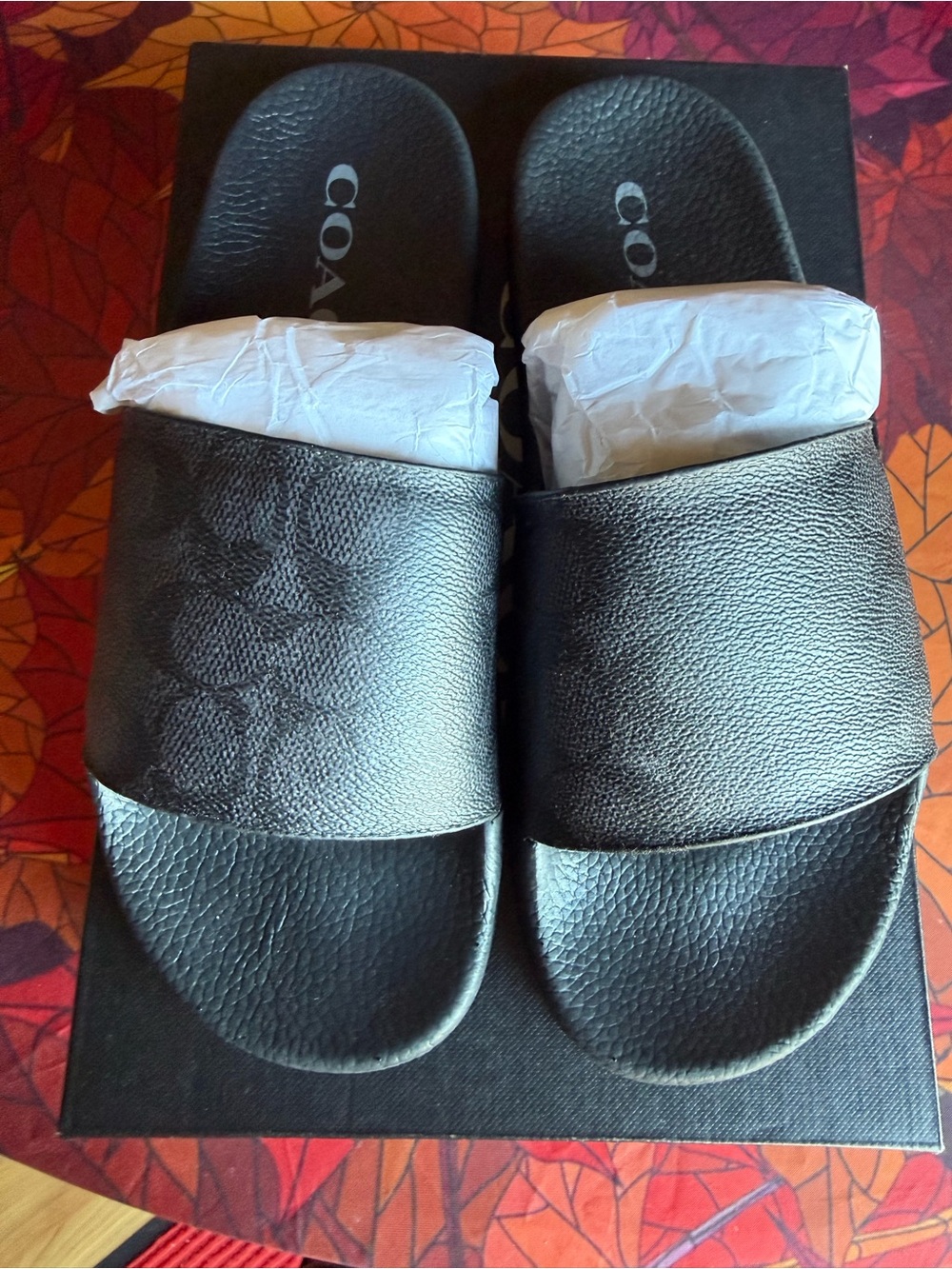 COACH Women’s Black Slide Sandals